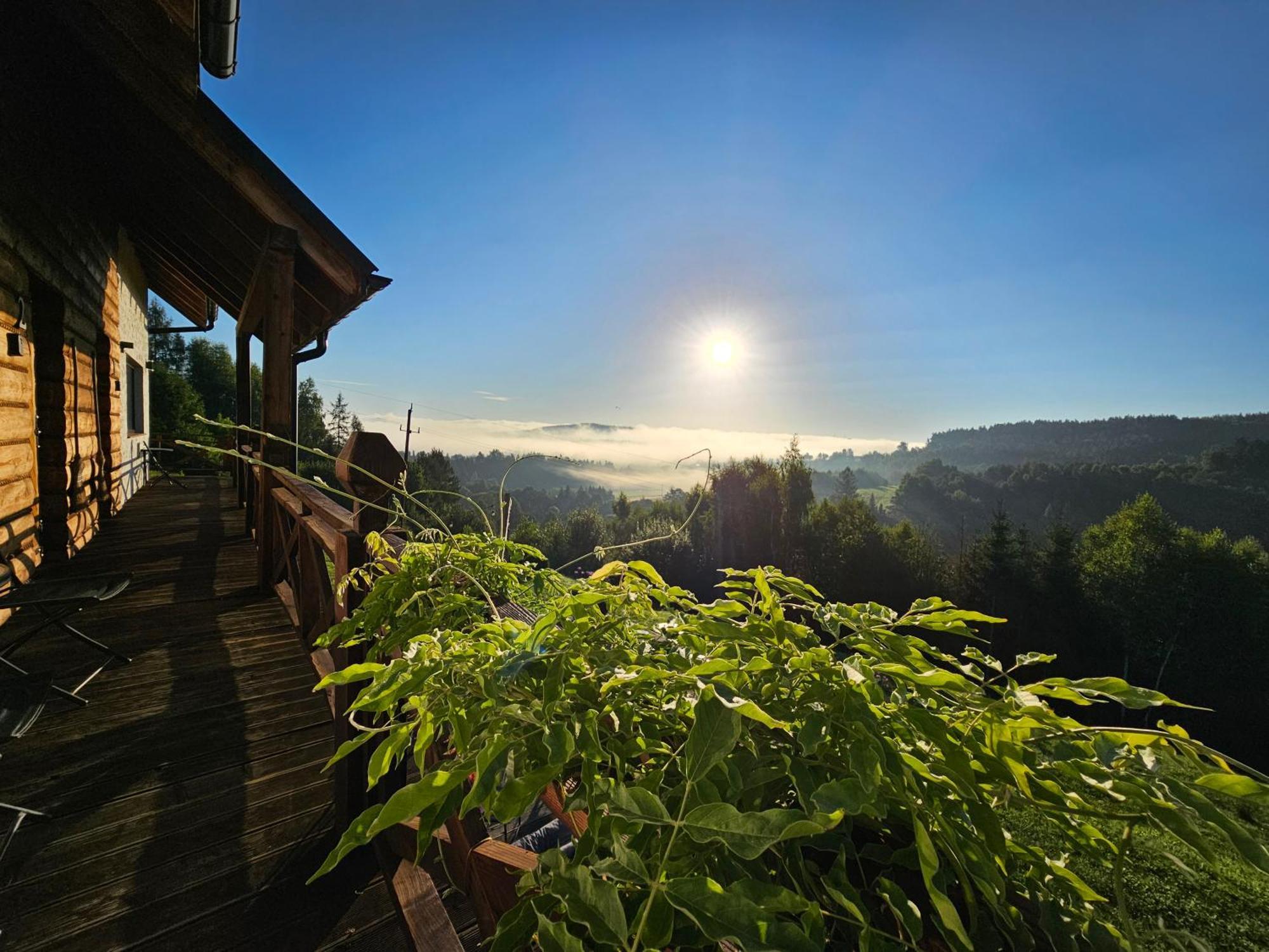 Chata W Bieszczadzie Apartamenty I Domki Z Sauna Bieszczady Полянчик Екстер'єр фото