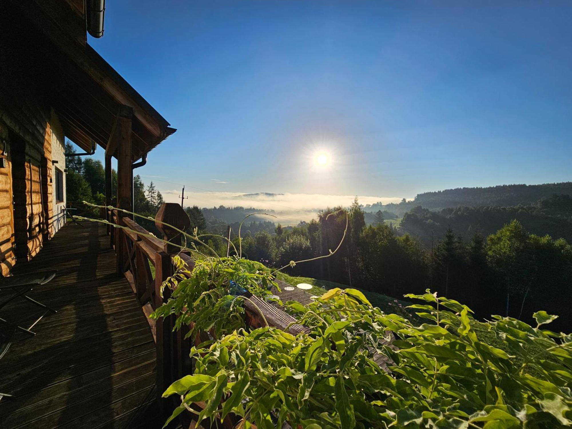 Chata W Bieszczadzie Apartamenty I Domki Z Sauna Bieszczady Полянчик Екстер'єр фото