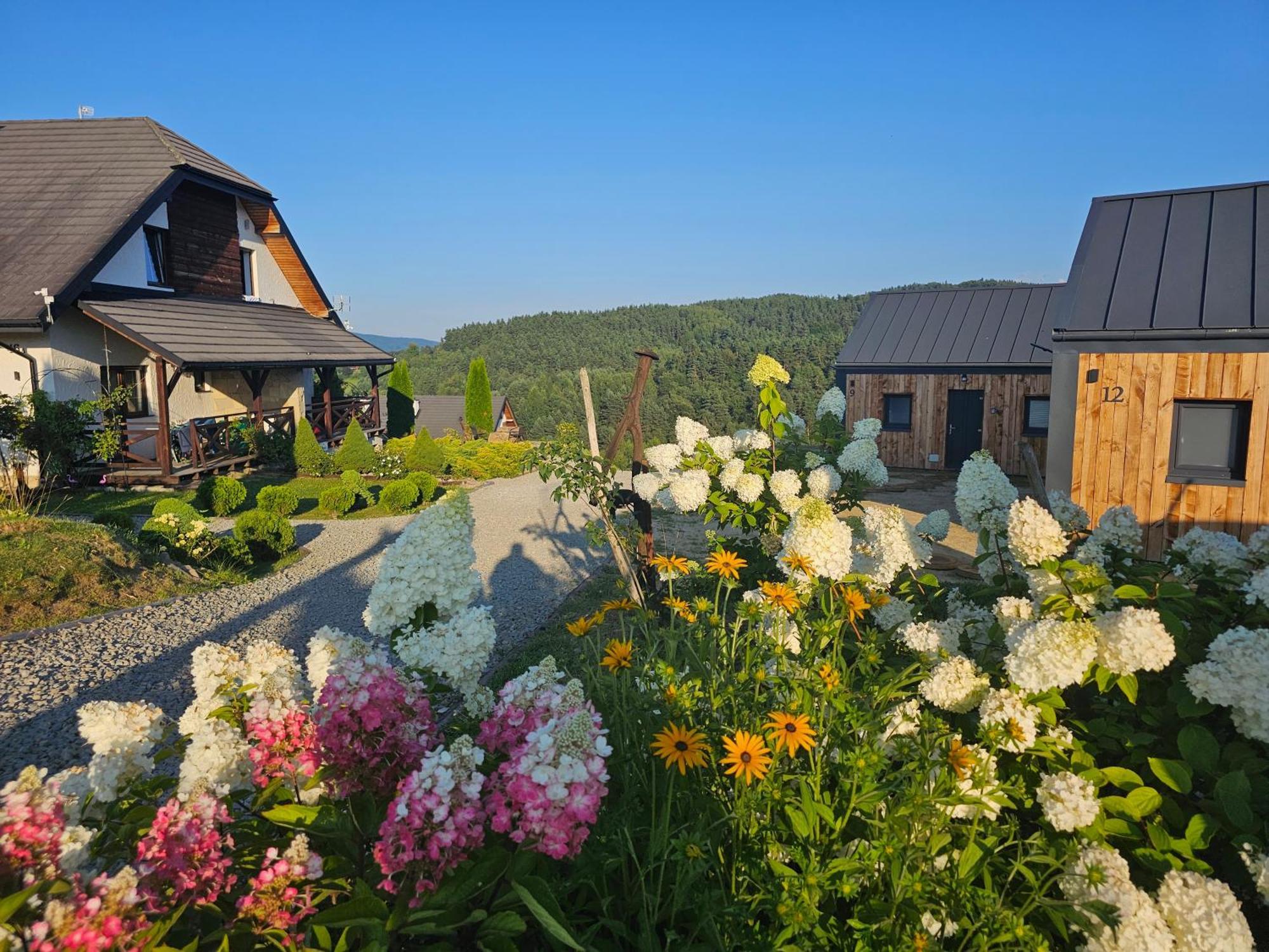 Chata W Bieszczadzie Apartamenty I Domki Z Sauna Bieszczady Полянчик Екстер'єр фото
