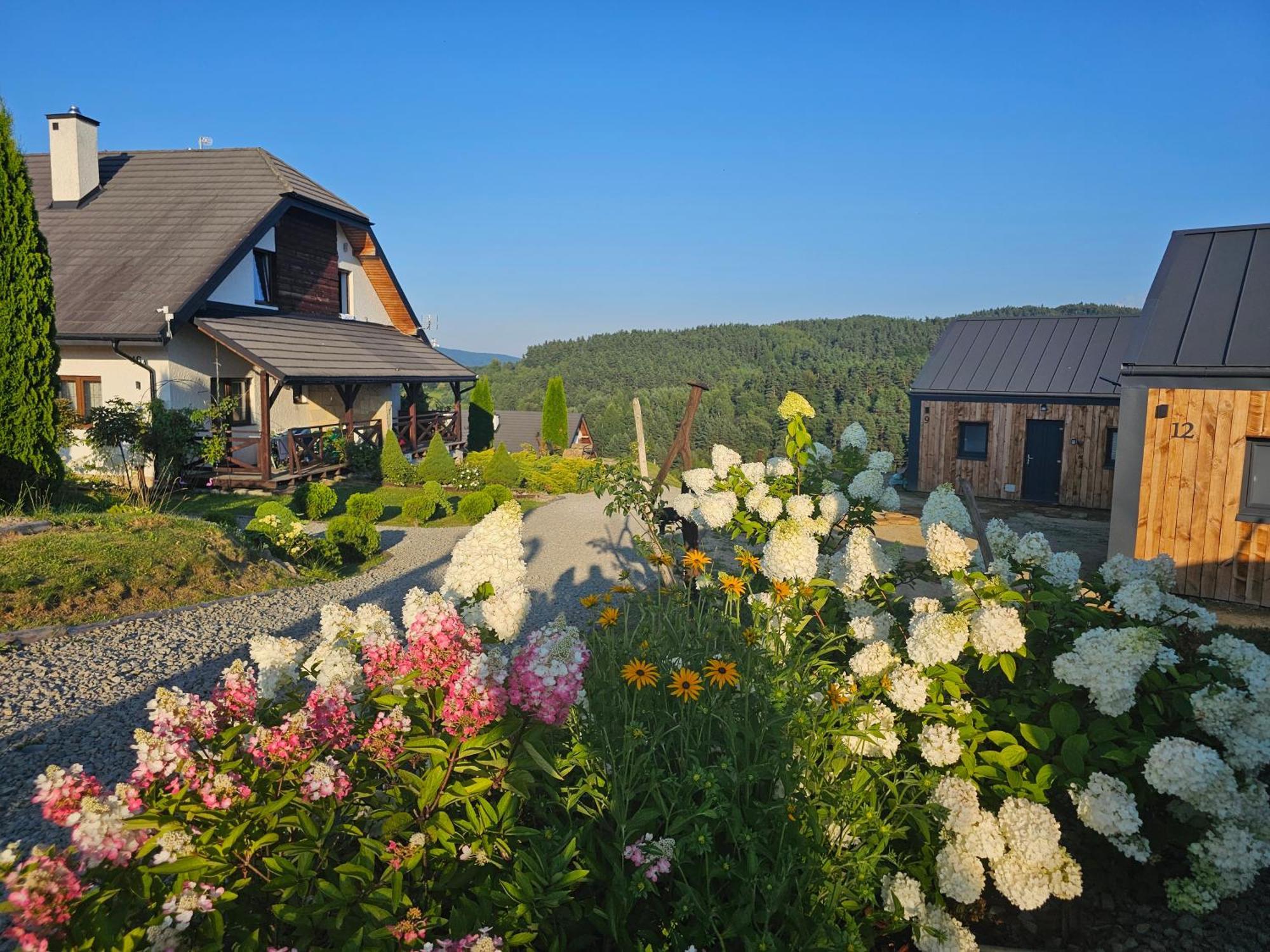 Chata W Bieszczadzie Apartamenty I Domki Z Sauna Bieszczady Полянчик Екстер'єр фото