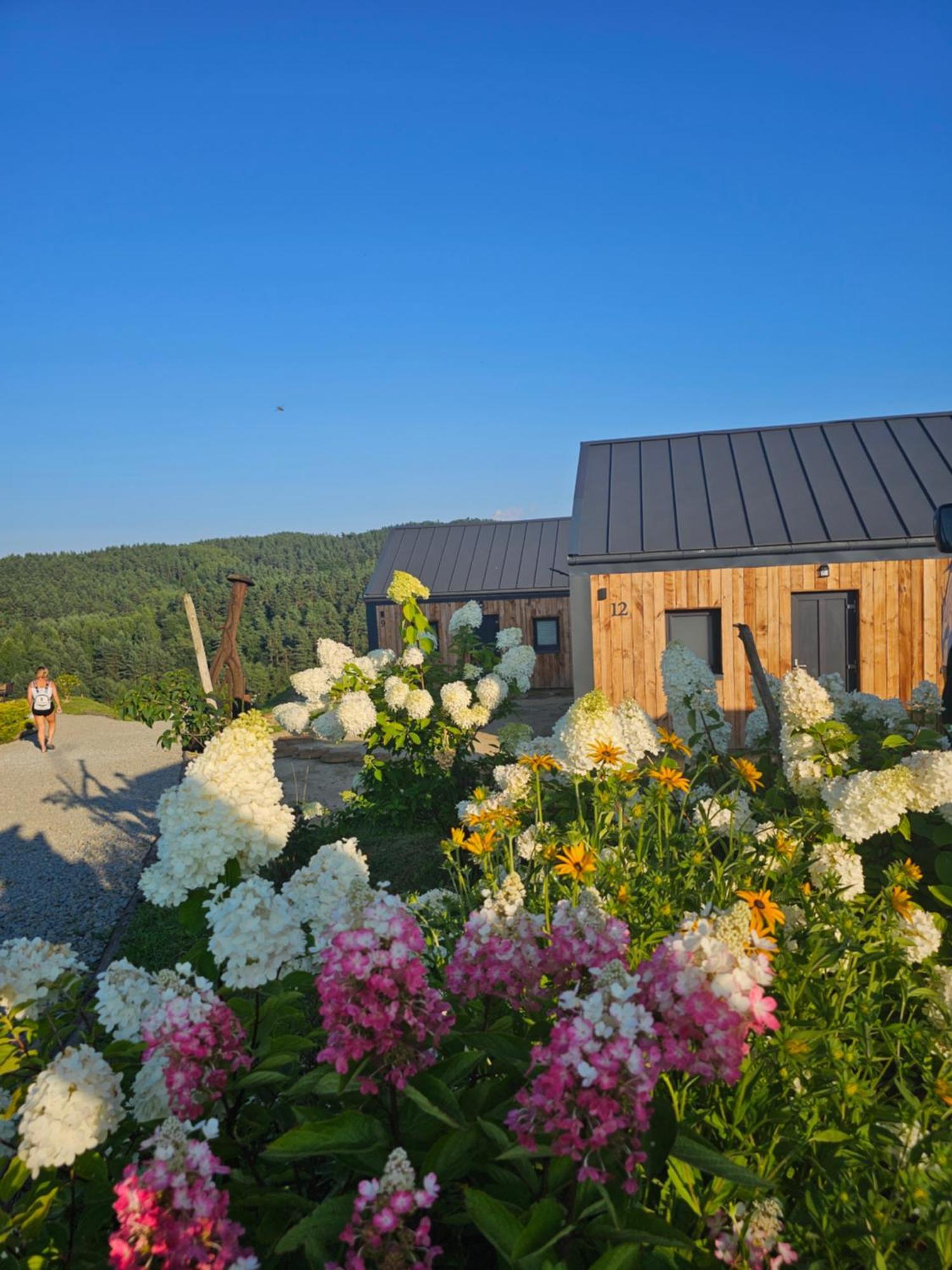 Chata W Bieszczadzie Apartamenty I Domki Z Sauna Bieszczady Полянчик Екстер'єр фото